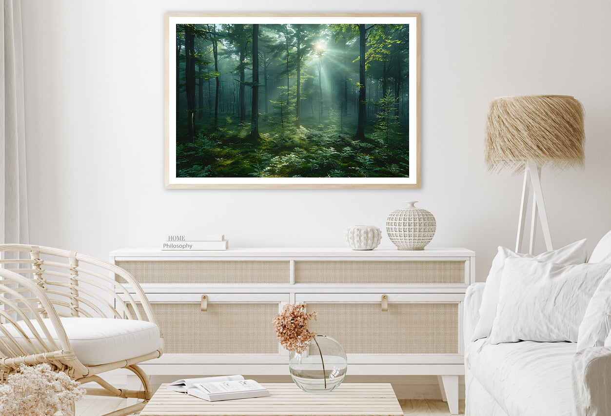 Forest with Sunrise View Home Decor Premium Quality Poster Print Choose Your Sizes - Bella Home Decor