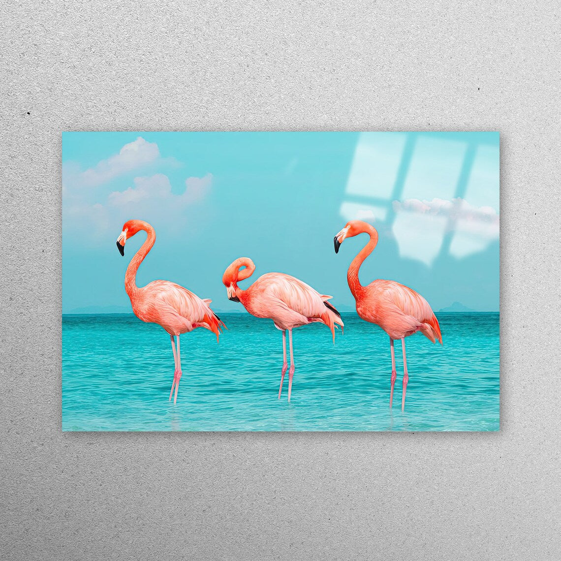 Pink Flamingo Bird Acrylic Glass Print Tempered Glass Wall Art 100% Made in Australia Ready to Hang