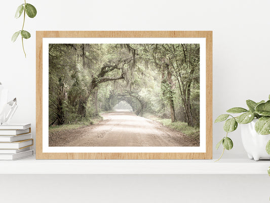 Forest Pathway & Trees Faded Photograph Glass Framed Wall Art, Ready to Hang Quality Print With White Border Oak