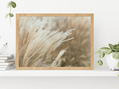 Frosted Grass On A Blurry Bokeh Glass Framed Wall Art, Ready to Hang Quality Print Without White Border Oak