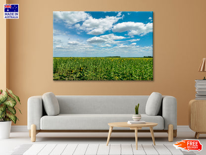 A Field Of Green Plants under a Cloudy Sky Print 100% Australian Made