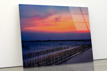 Beautiful Row Oyster Field Sea at Sunset Acrylic Glass Print Tempered Glass Wall Art 100% Made in Australia Ready to Hang