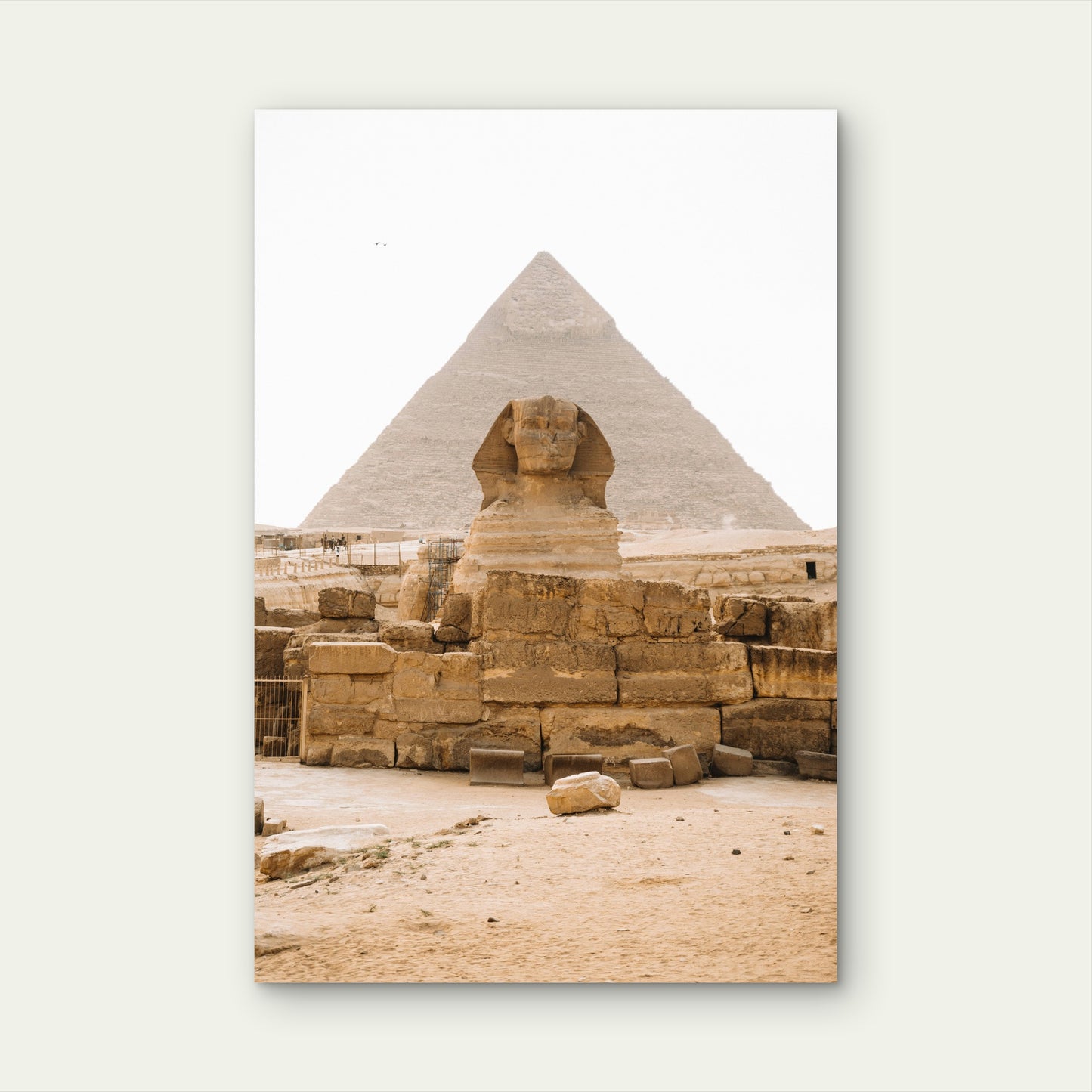 Great Sphinx of Giza with the Great Pyramid 40x60cm Metal Print Ready to Hang