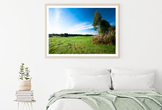 Tranquil Grassland & Trees at Sunrise Home Decor Premium Quality Poster Print Choose Your Sizes