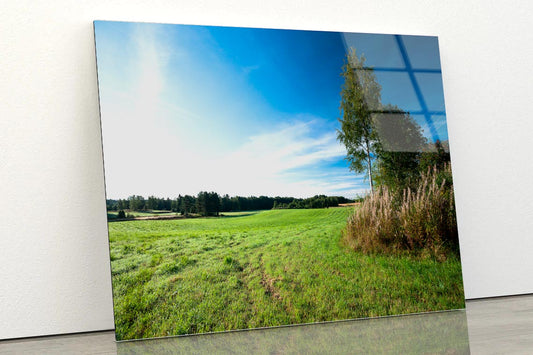 Tranquil Grassland & Trees at Sunrise Acrylic Glass Print Tempered Glass Wall Art 100% Made in Australia Ready to Hang