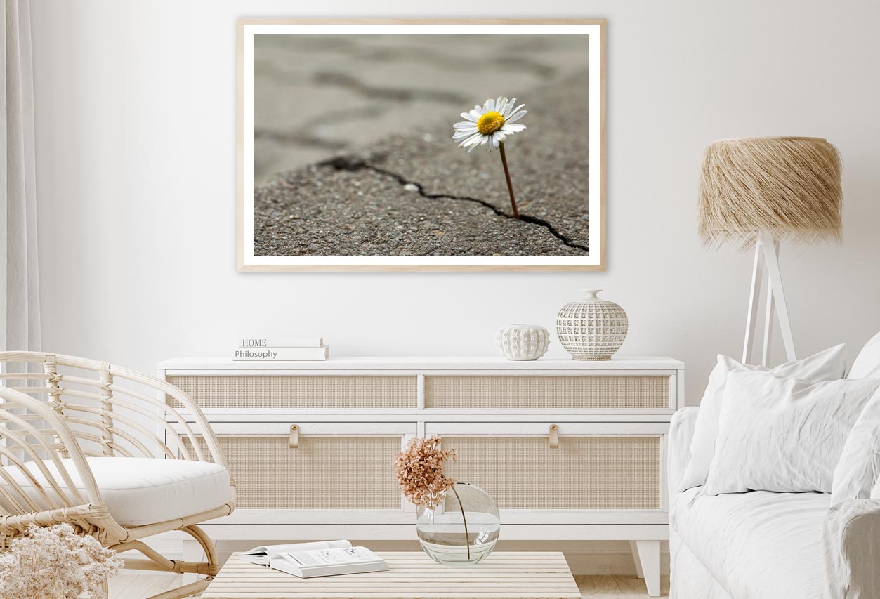 Beautiful Flower Growing Out of Crack in Asphalt Home Decor Premium Quality Poster Print Choose Your Sizes - Bella Home Decor