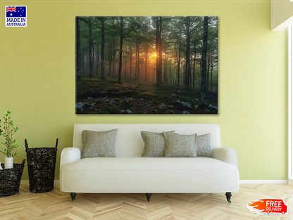 Morning in the Forest Print 100% Australian Made - Bella Home Decor