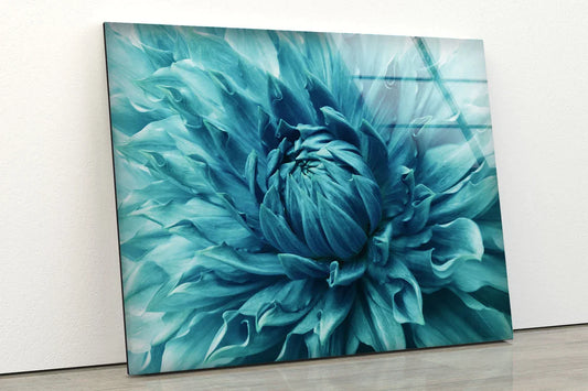 Blue Flower Closeup UV Direct Aluminum Print Australian Made Quality