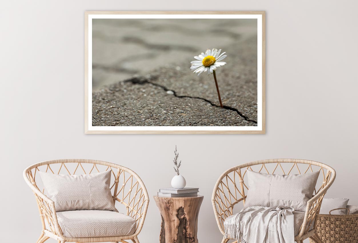 Beautiful Flower Growing Out of Crack in Asphalt Home Decor Premium Quality Poster Print Choose Your Sizes - Bella Home Decor