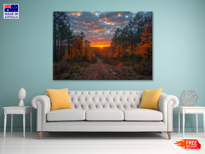 Sunrise in the Forest View Print 100% Australian Made - Bella Home Decor