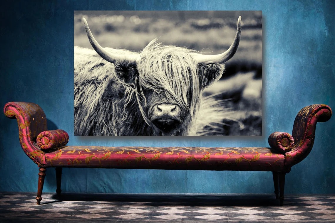 Highland Cow Wall Art UV Direct Aluminum Print Australian Made Quality