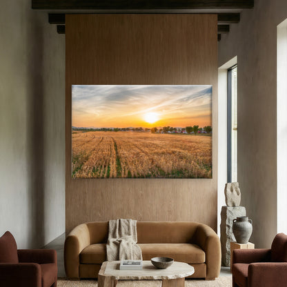 Beautiful sunset over barley fields in South Korea  Wall Art Decor 100% Australian Made