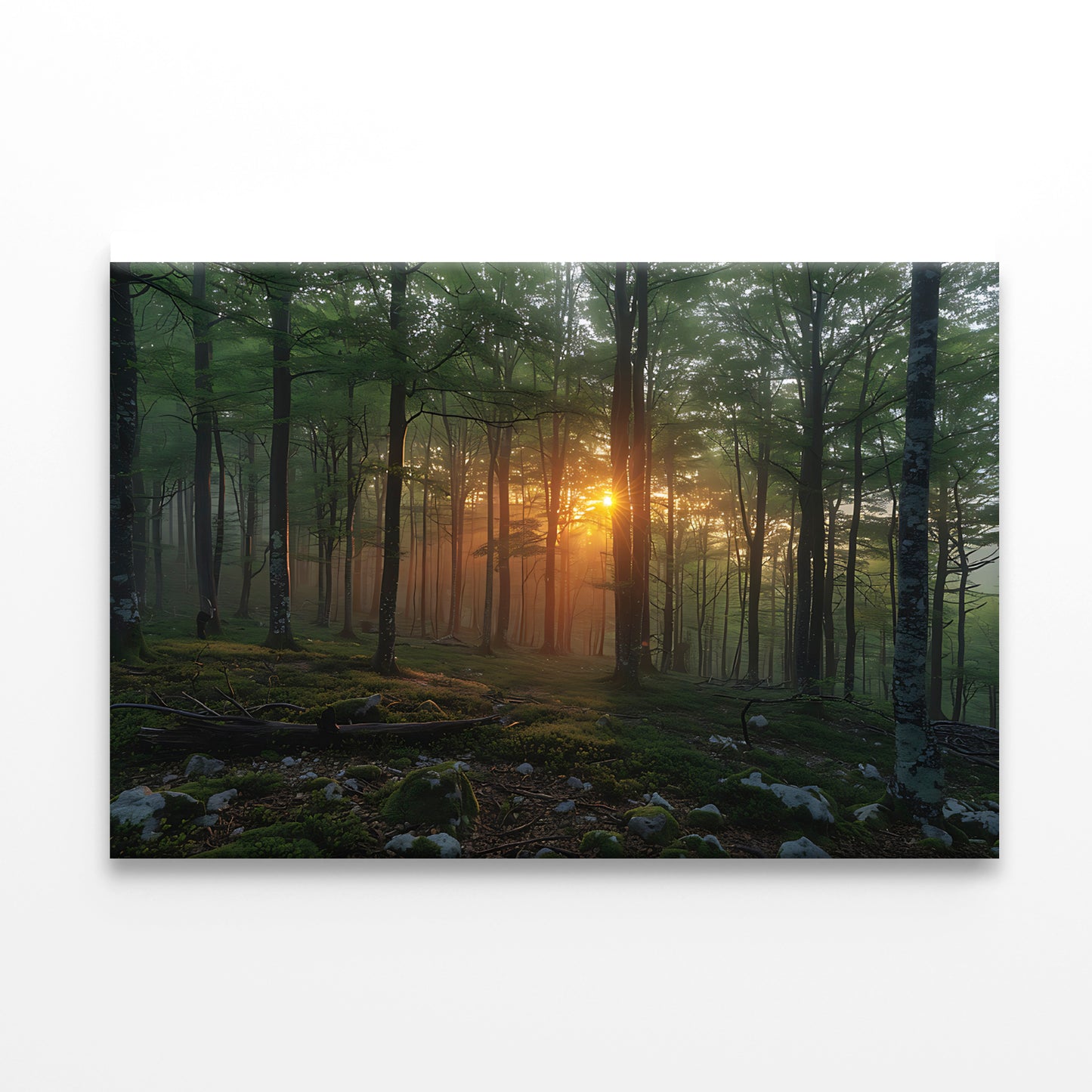 Morning in the Forest Print 100% Australian Made - Bella Home Decor