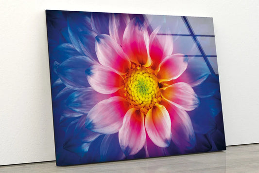 Pink Yellow Flower View UV Direct Aluminum Print Australian Made Quality