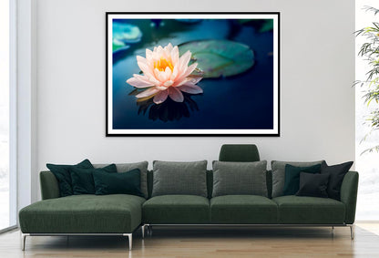 Pink Flower Floating on Top of a Pond Home Decor Premium Quality Poster Print Choose Your Sizes