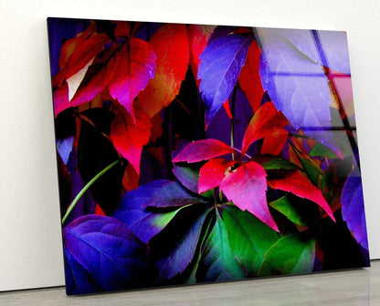 Pink Blue Green Leaves UV Direct Aluminum Print Australian Made Quality