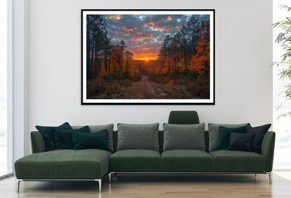 Sunrise in the Forest View Home Decor Premium Quality Poster Print Choose Your Sizes