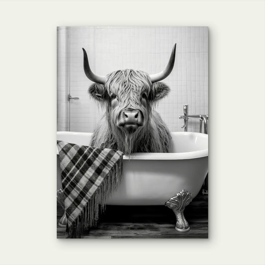 Highland Cow In Bathtub 40x60cm Metal Print Ready to Hang