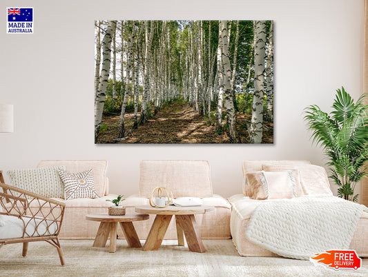 A Dirt Path Winding Through a Forest Print 100% Australian Made