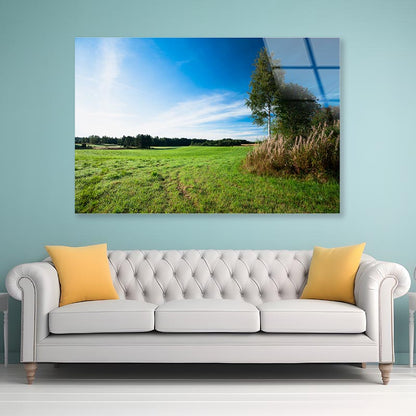 Tranquil Grassland & Trees at Sunrise Acrylic Glass Print Tempered Glass Wall Art 100% Made in Australia Ready to Hang