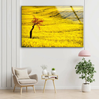 Tree on Autumn Field UV Direct Aluminum Print Australian Made Quality