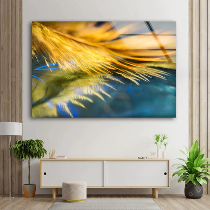 Yellow Feather Closeup UV Direct Aluminum Print Australian Made Quality