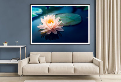 Pink Flower Floating on Top of a Pond Home Decor Premium Quality Poster Print Choose Your Sizes