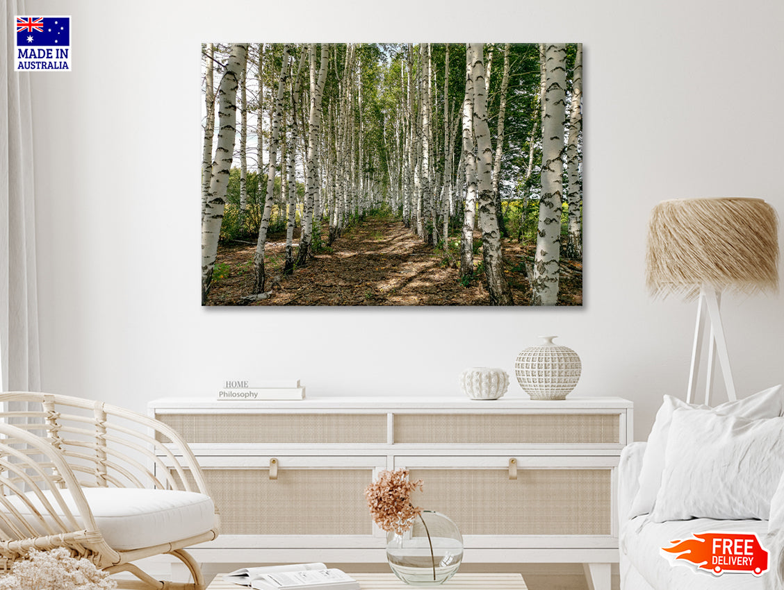 A Dirt Path Winding Through a Forest Print 100% Australian Made