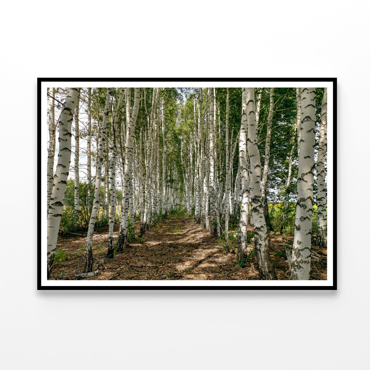 A Dirt Path Winding Through a Forest Home Decor Premium Quality Poster Print Choose Your Sizes