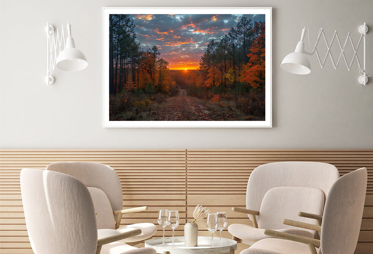 Sunrise in the Forest View Home Decor Premium Quality Poster Print Choose Your Sizes