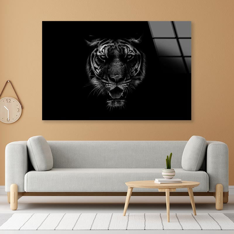Black & White Beautiful Tiger on Black Acrylic Glass Print Tempered Glass Wall Art 100% Made in Australia Ready to Hang - Bella Home Decor