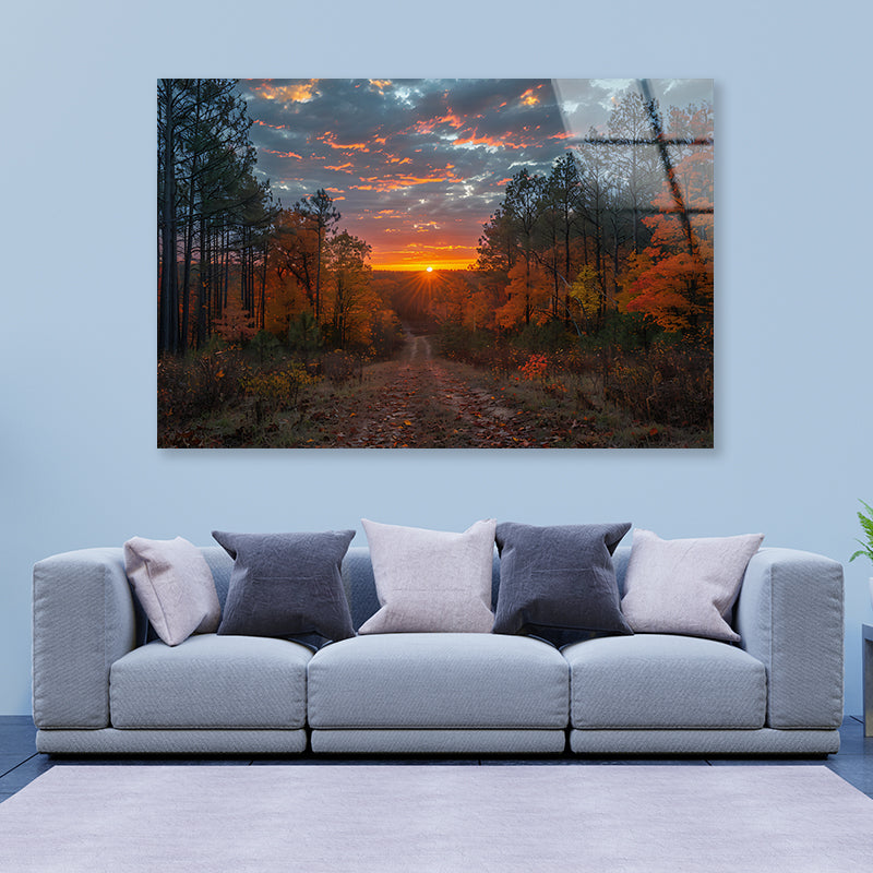 Sunrise in the Forest View Acrylic Glass Print Tempered Glass Wall Art 100% Made in Australia Ready to Hang - Bella Home Decor