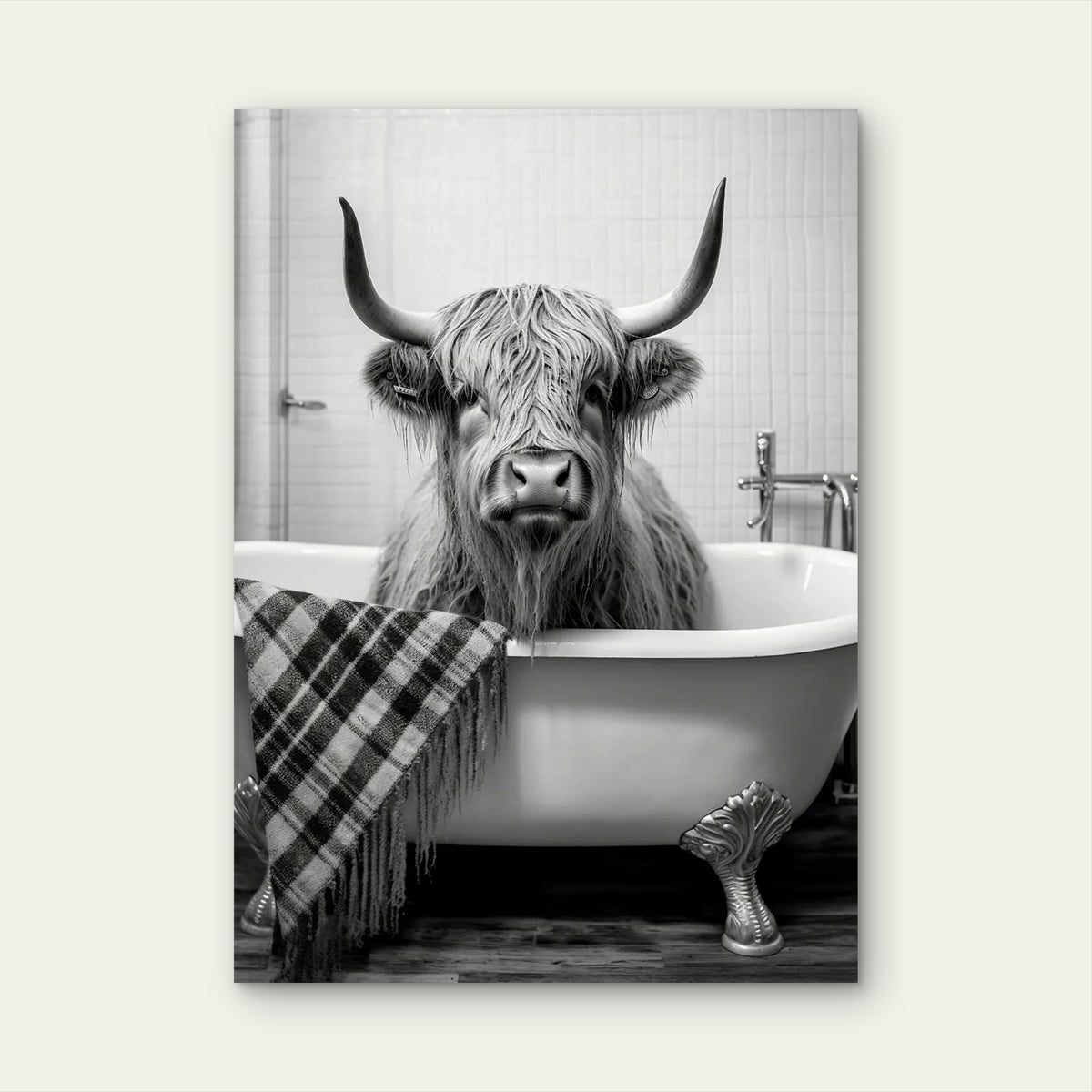 Highland Cow In Bathtub 60x90cm Metal Print Ready to Hang