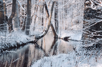 Beautiful Winter Landscape with The River Acrylic Glass Print Tempered Glass Wall Art 100% Made in Australia Ready to Hang - Bella Home Decor