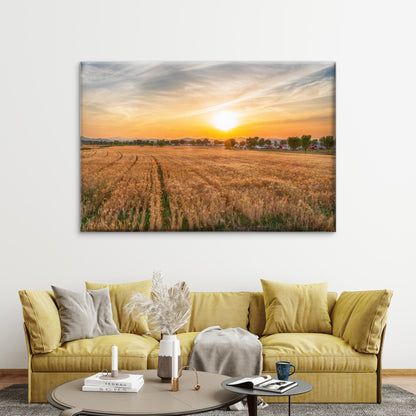 Beautiful sunset over barley fields in South Korea  Wall Art Decor 100% Australian Made