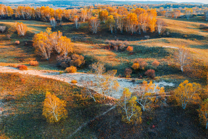 Beautiful Yellow Grassland Nature in autumn Print 100% Australian Made