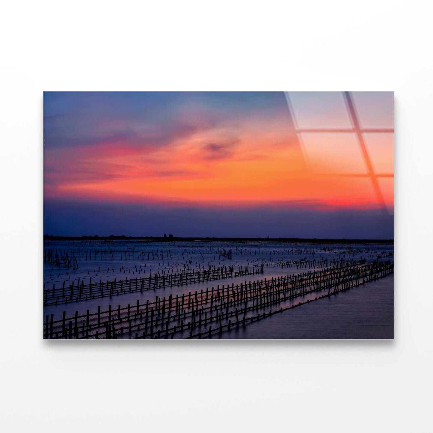 Beautiful Row Oyster Field Sea at Sunset Acrylic Glass Print Tempered Glass Wall Art 100% Made in Australia Ready to Hang