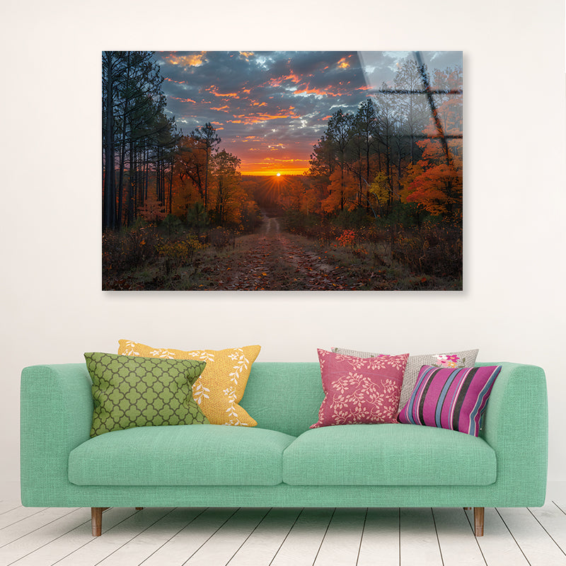 Sunrise in the Forest View Acrylic Glass Print Tempered Glass Wall Art 100% Made in Australia Ready to Hang - Bella Home Decor