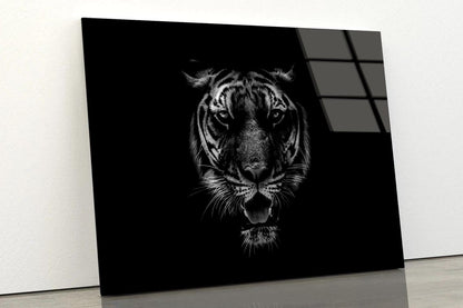 Black & White Beautiful Tiger on Black Acrylic Glass Print Tempered Glass Wall Art 100% Made in Australia Ready to Hang - Bella Home Decor