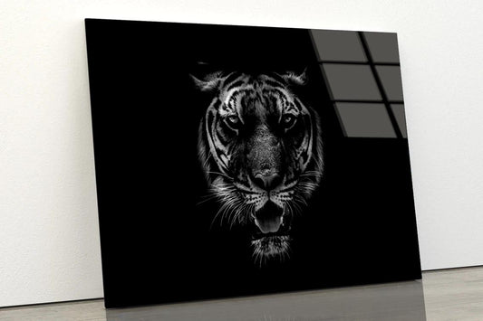 Black & White Beautiful Tiger on Black Acrylic Glass Print Tempered Glass Wall Art 100% Made in Australia Ready to Hang