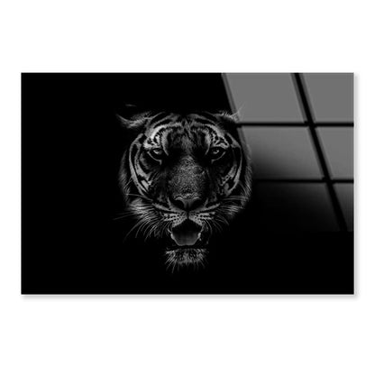 Black & White Beautiful Tiger on Black Acrylic Glass Print Tempered Glass Wall Art 100% Made in Australia Ready to Hang - Bella Home Decor