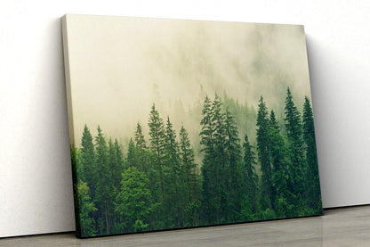 Green forest foggy minimalistic UV Direct Aluminum Print Australian Made Quality