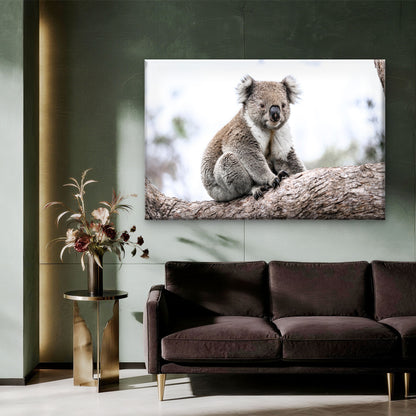 Wild Koala Bear Australia Nature Wall Art Decor 100% Australian Made