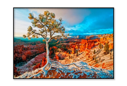 Snow Storm in Bryce & Blue Sky View Home Decor Premium Quality Poster Print Choose Your Sizes