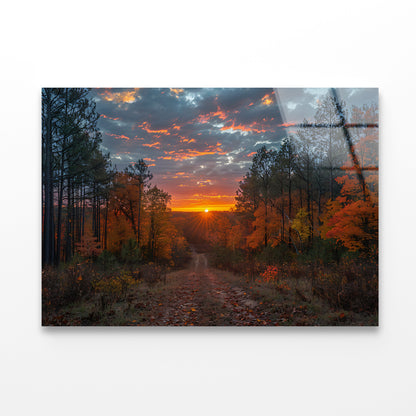 Sunrise in the Forest View Acrylic Glass Print Tempered Glass Wall Art 100% Made in Australia Ready to Hang - Bella Home Decor