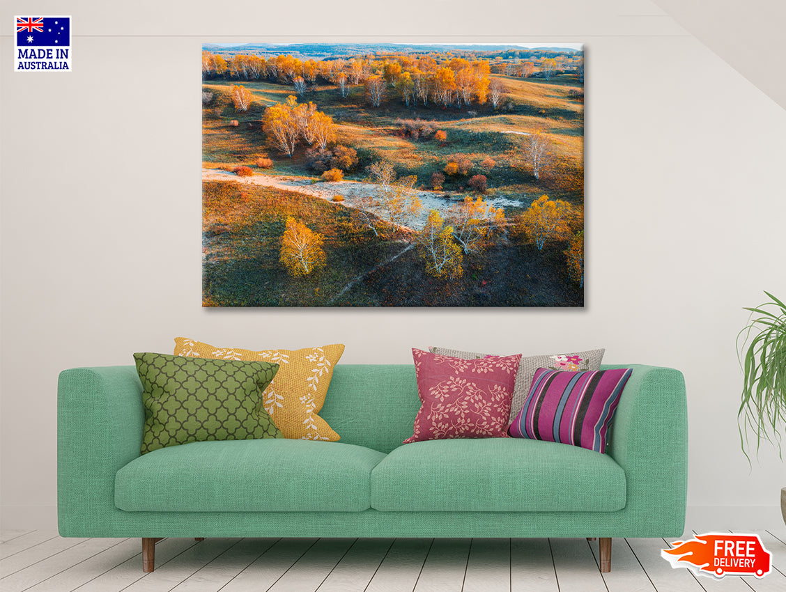 Beautiful Yellow Grassland Nature in autumn Print 100% Australian Made