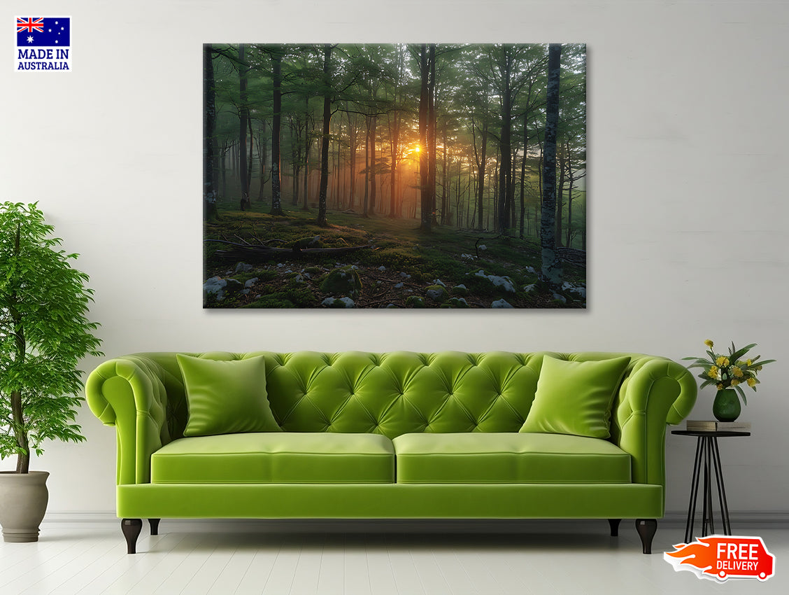 Morning in the Forest Print 100% Australian Made - Bella Home Decor