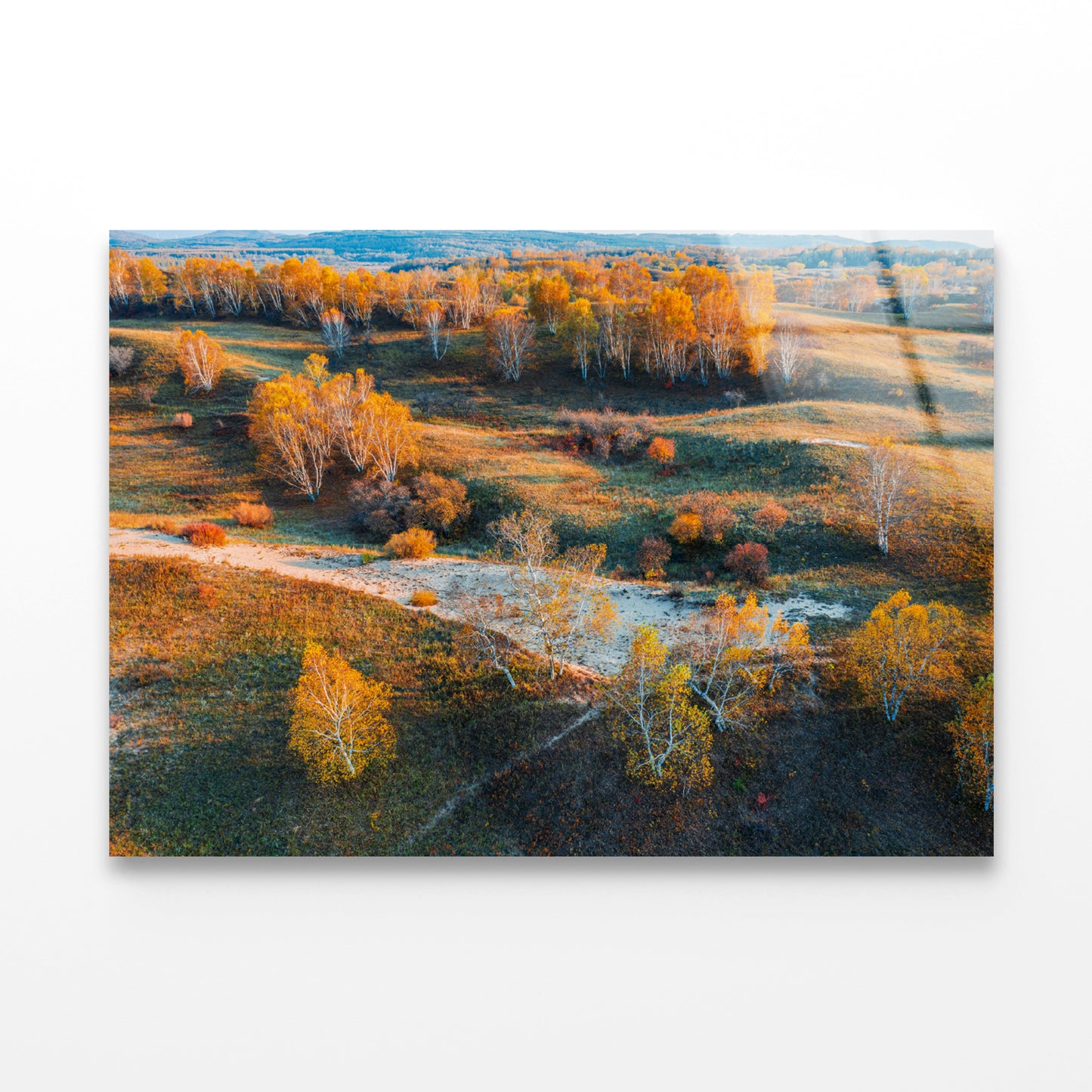 Beautiful Yellow Grassland Nature in autumn Acrylic Glass Print Tempered Glass Wall Art 100% Made in Australia Ready to Hang