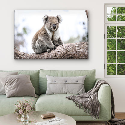 Wild Koala Bear Australia Nature Wall Art Decor 100% Australian Made