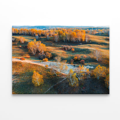 Beautiful Yellow Grassland Nature in autumn Print 100% Australian Made